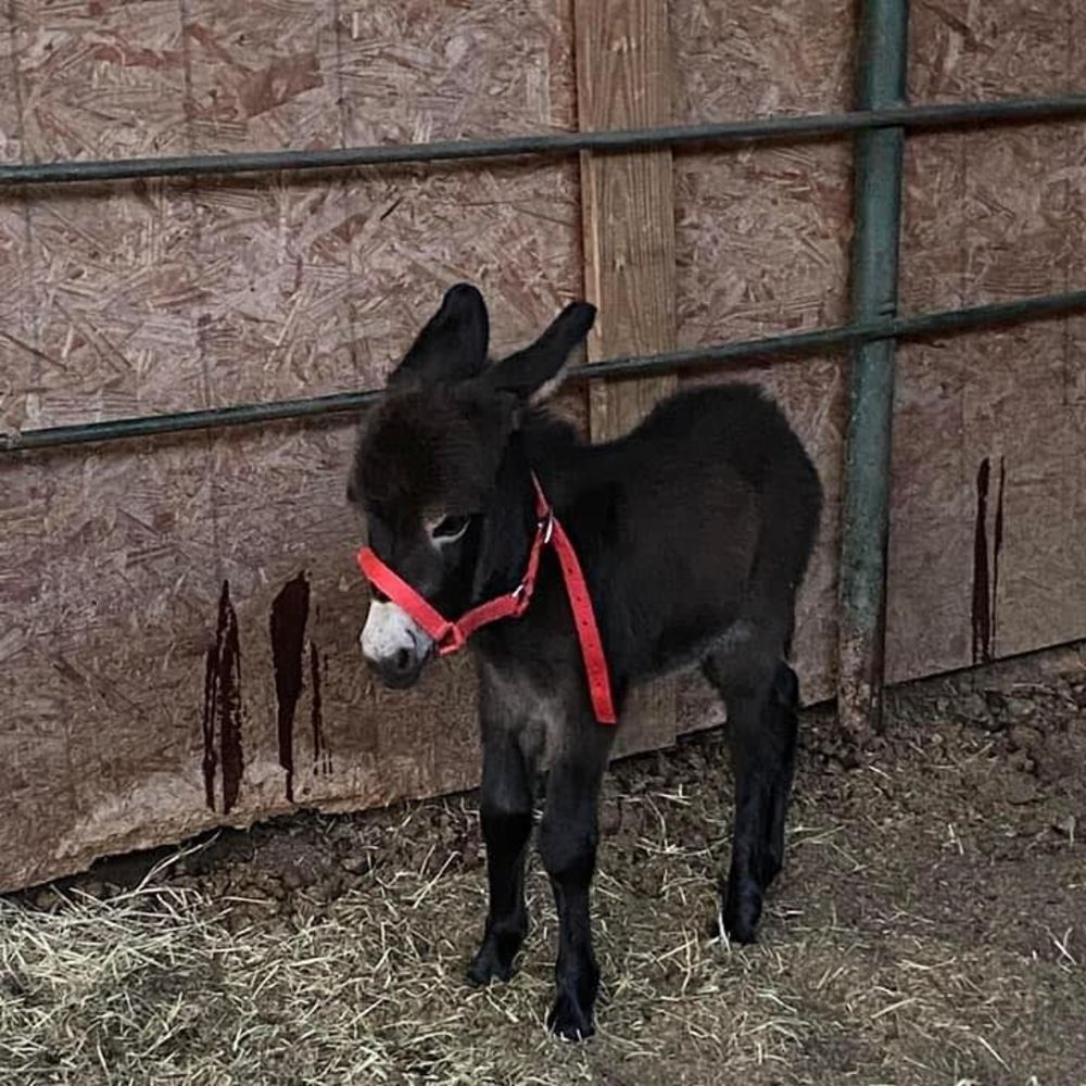 Meet your Posher, Marie